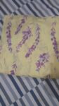 cloth-1